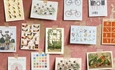 The Pattern Book