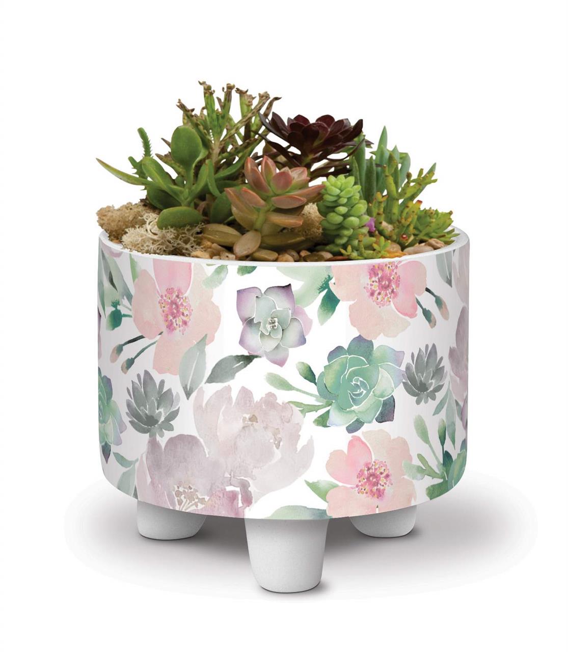 Lady Jayne Stationery and gifts for your girlfriends Live Wires New